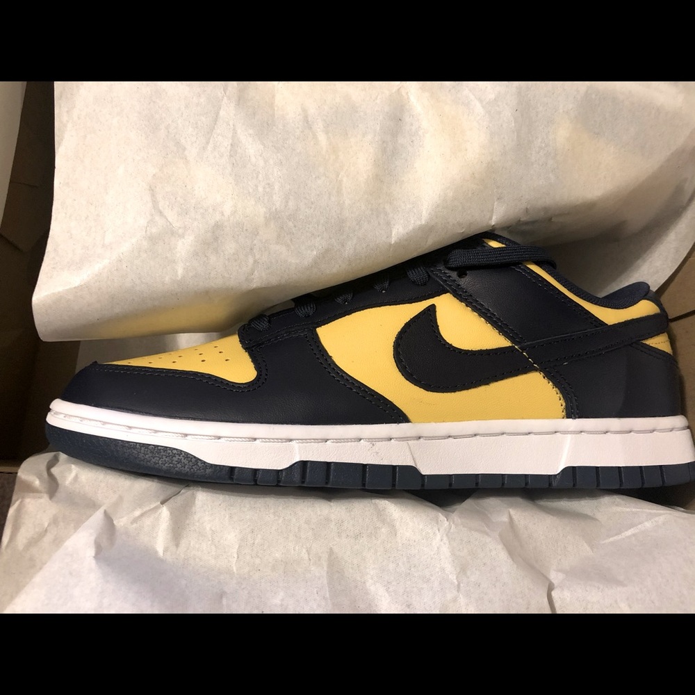 Nike Dunk Low Retro